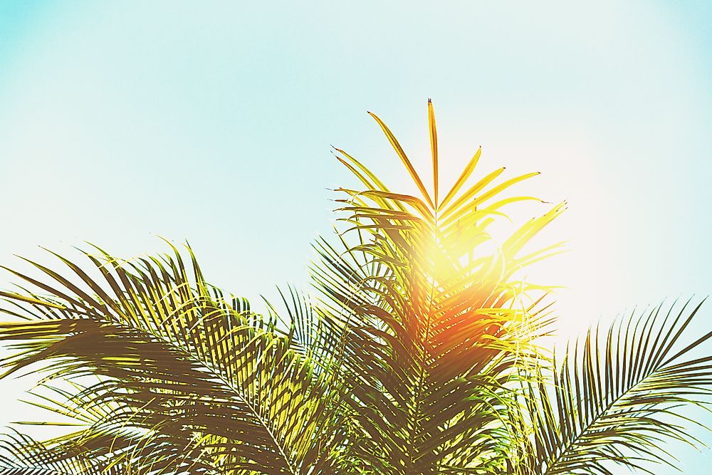 States which receive a higher amount of sunshine than average are said to be apart of the "Sun Belt".