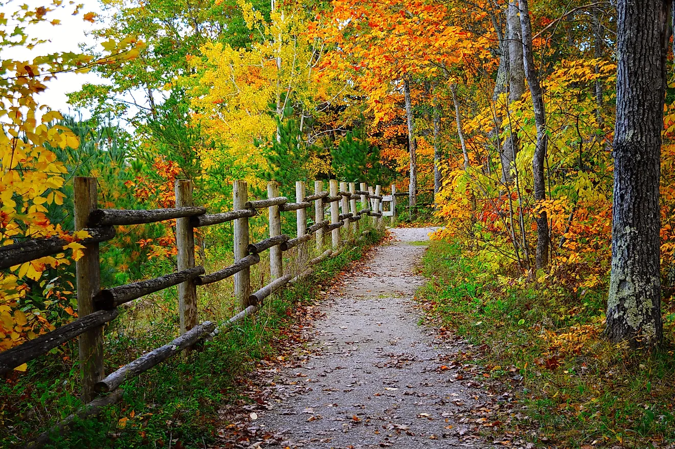 Autumn colors along a path on the River Road Scenic Byway in Michigan.
