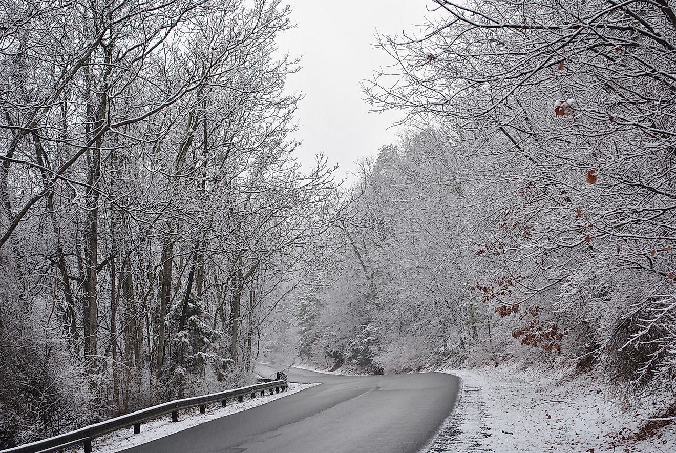 A snowy road near Massanutten in Virginia.