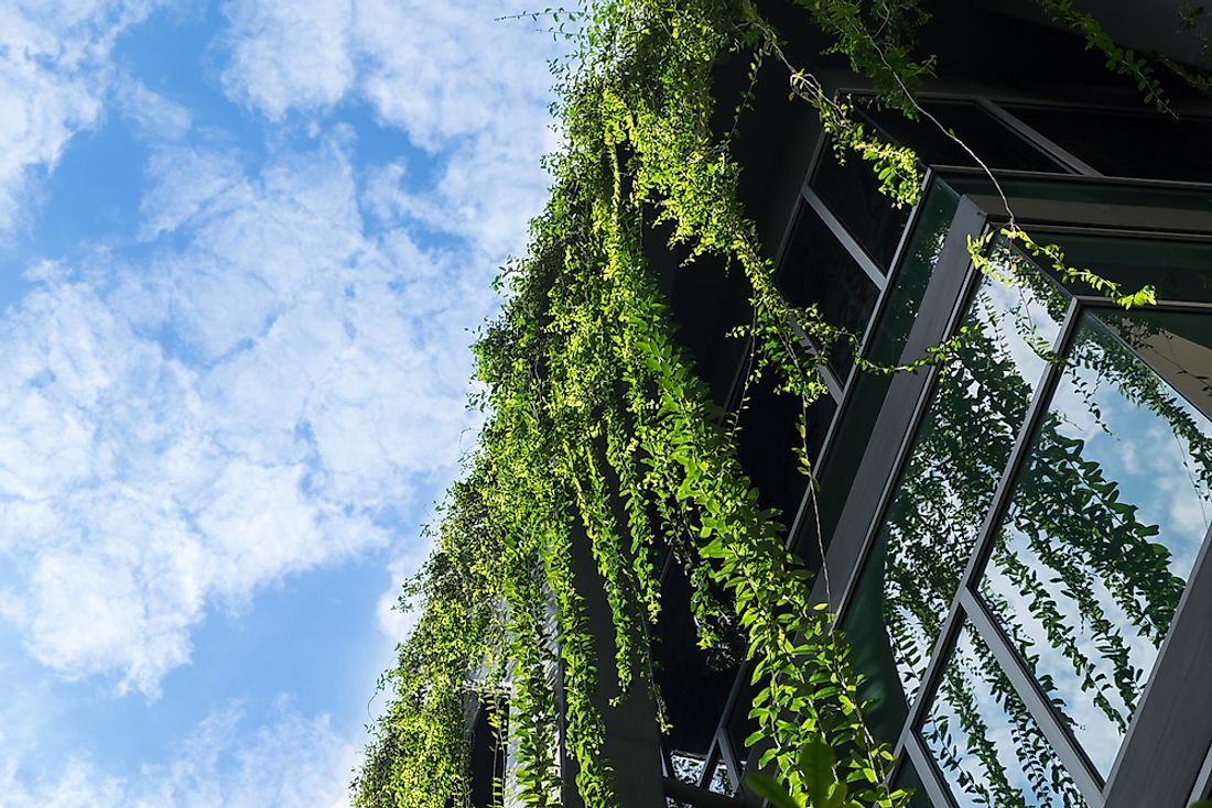 Greenery can be a major contributor to a city's environmental atmosphere and sustainability. 