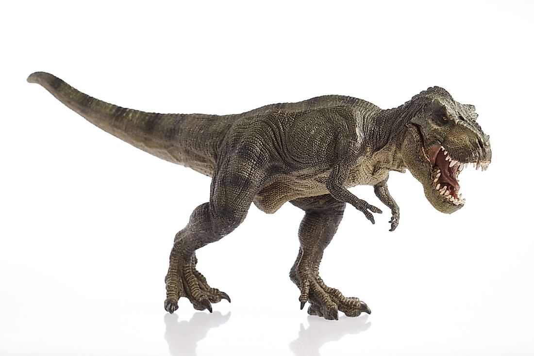 A 3D rendering of a tyrannosaurus.