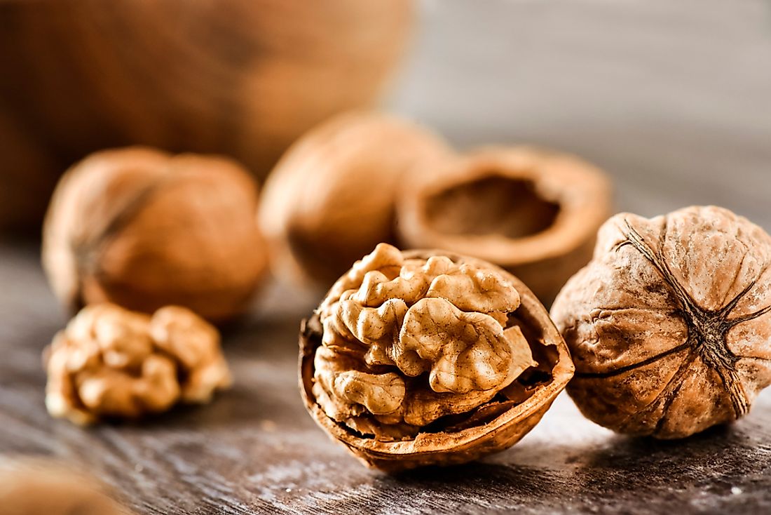 Walnuts are one of the world's most popular nuts. 