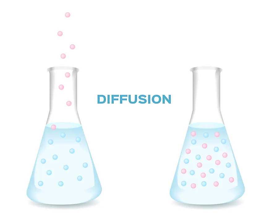   The diffusion process results in a uniform distribution of particles.