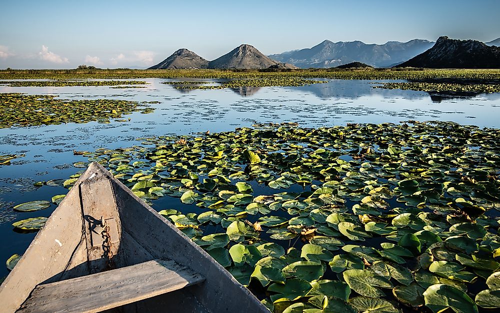 Lake Skadar. 