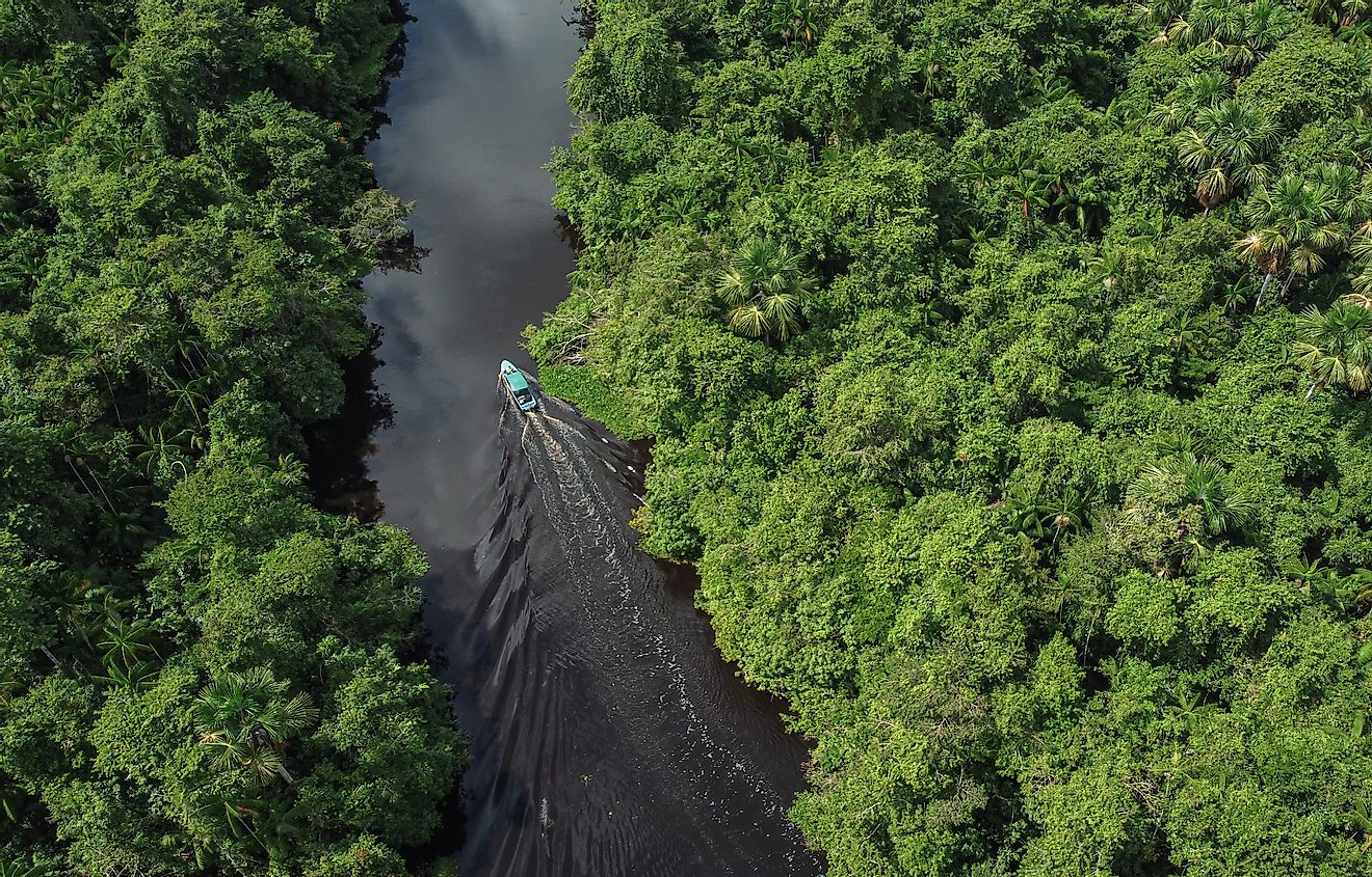 Aerial view of the Orinoco Delta in Venezuela. Image credit: Yaikel Dorta/Shutterstock.com