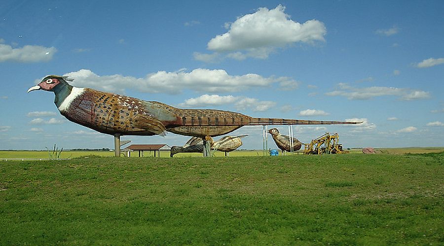 Metal Pheasants along the Enchanted Highway in North Dakota. 