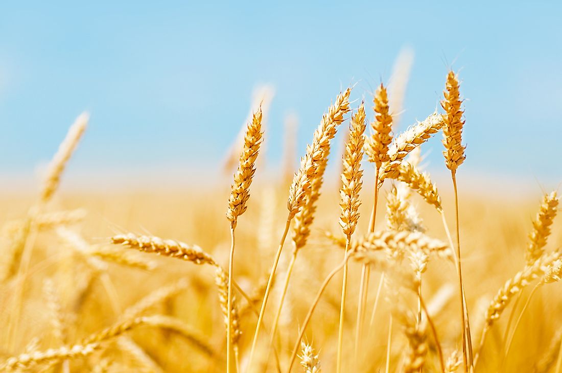 The term "breadbasket" is a term used to refer to an area with highly arable land. 