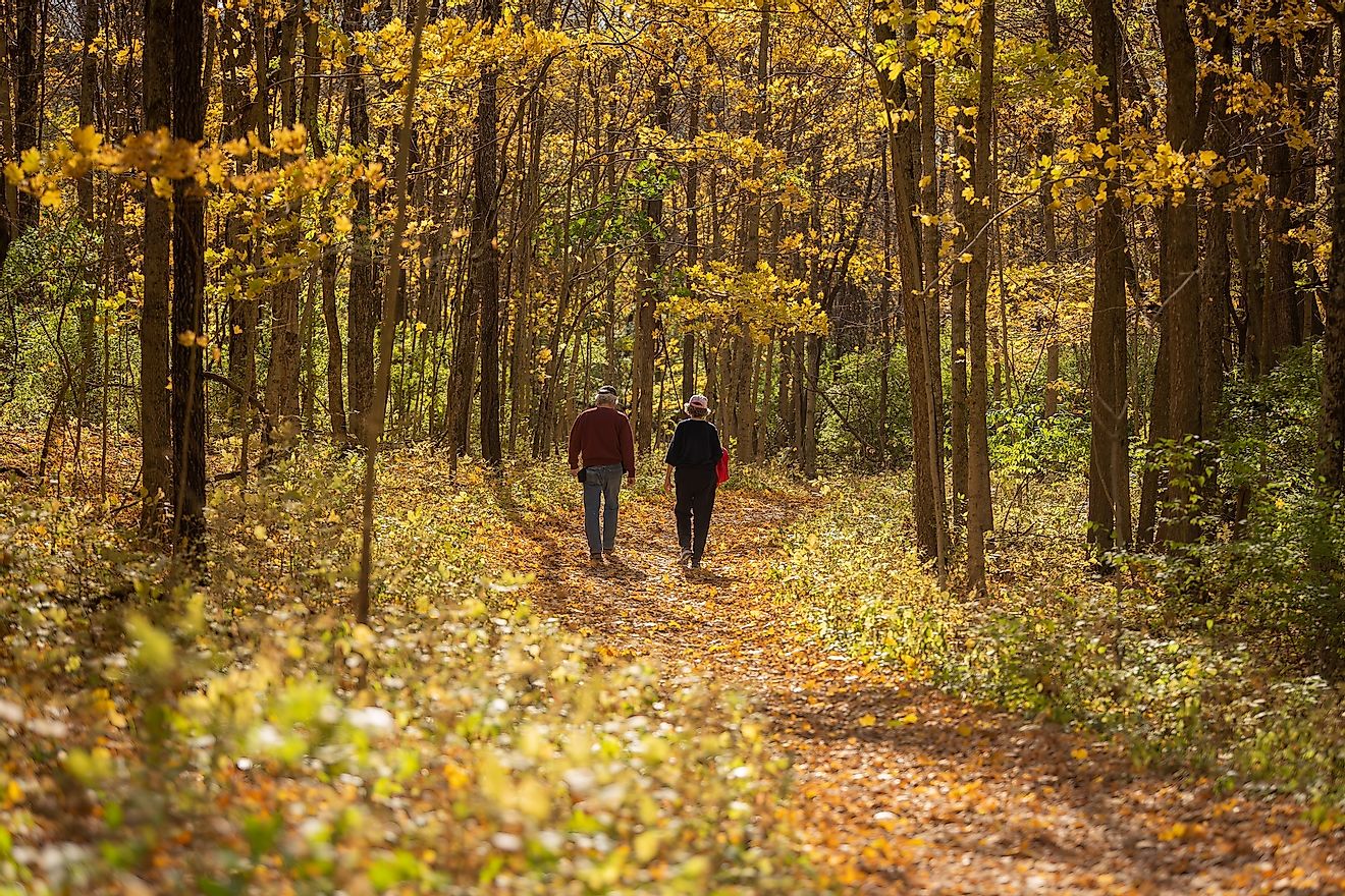 A couple walks along an Autumn path at Sugarcreek Metro Park in Bellbrook Ohio.