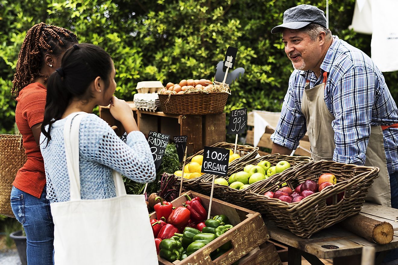 People buying fresh locally sourced vegetables from a farmer's market. Image credit: Rawpixel.com/Shutterstock.com
