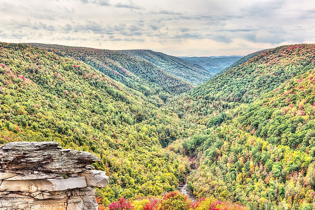 Allegheny National Forest was established in 1923. 