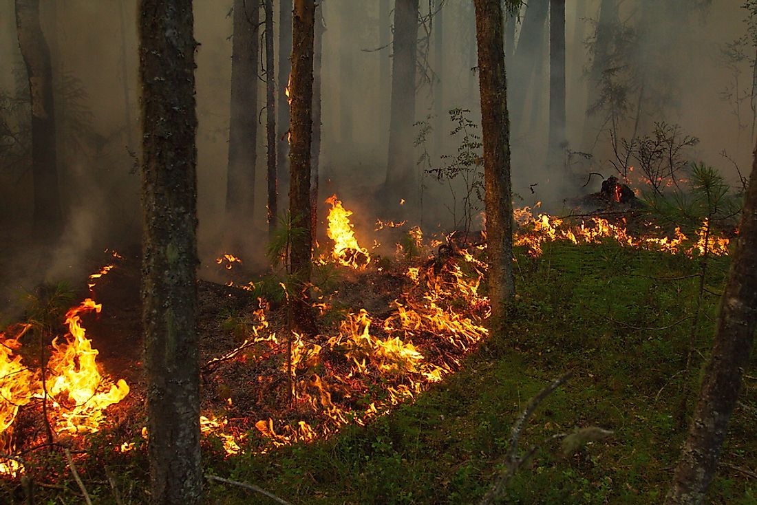 A wildfire burns across the Siberian taiga in 2013. In 2003, this remote area of Siberia was the site of the largest forest fire of all times in terms of acres burned.