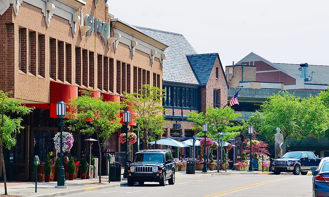Businesses lined along a street in Birmingham, Michigan. Editorial credit: PQK / Shutterstock.com