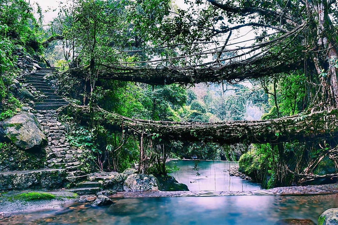 The living root bridges of Meghalaya, in one of the wettest places on Earth, is one of the most beautiful places in India.