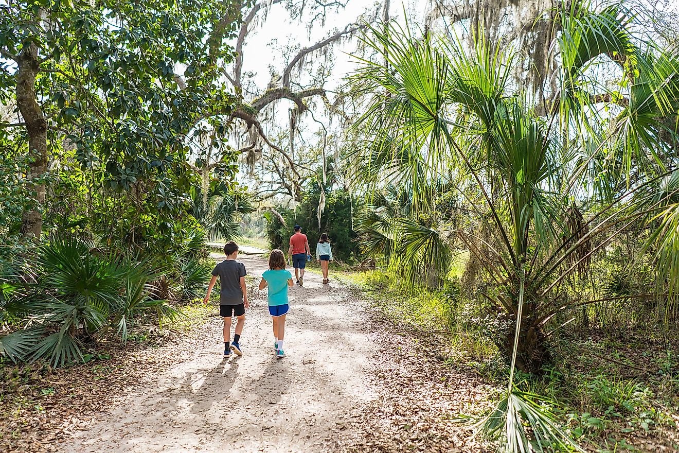 Hikers on a nature trail in Florida.