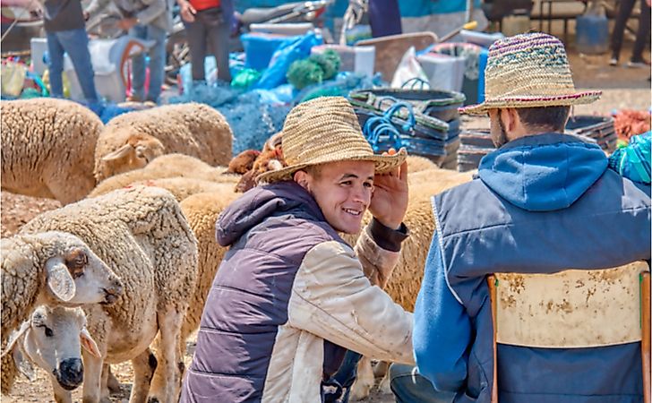 Sellers of livestock in the souk that settles every Saturday in Oued Laou, a town in the province of Tetouan, in northern Morocco. Editorial credit: JUAN ANTONIO ORIHUELA / Shutterstock.com