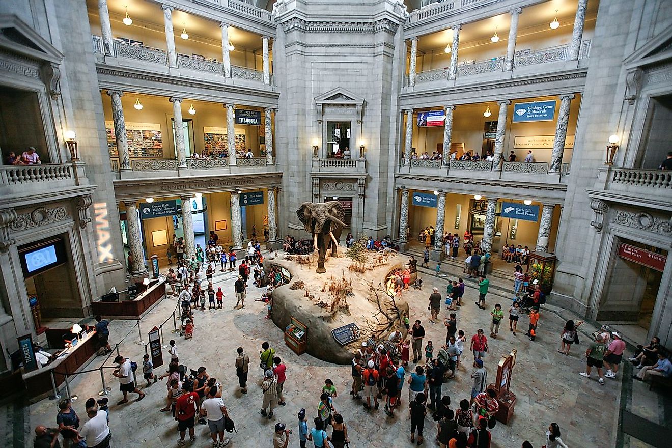 Smithsonian Institution National Museum of Natural History. Image credit: Alex Proimos from Sydney, Australia/Wikimedia.org