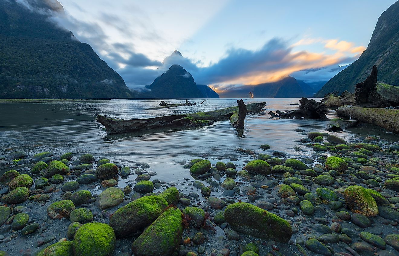 ​Fiordland National Park