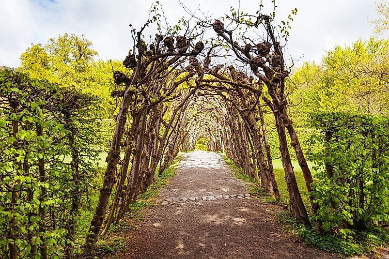 A botanical arch in one of the formal gardens of Bergpark Wilhelmshöhe.