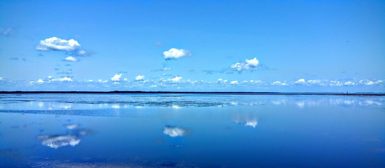 Beautiful scene looking across Lake George in the Ocala National Forest, Ocala, Florida. Editorial credit: lyman michael hatcher / Shutterstock.com