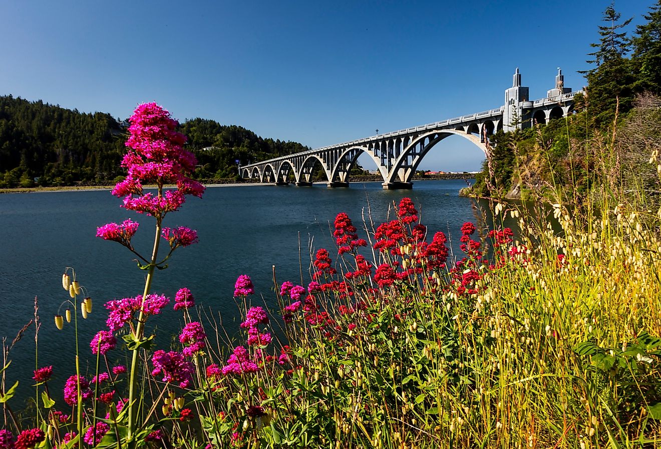 Isaac Lee Patterson Bridge, also known as the Rogue River Bridge Gold Beach, Oregon with pink flowers blooming.