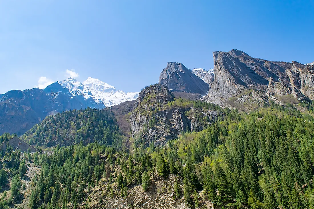 Vegetation transition through altitudinal zones of the slopes of the Himalayan mountains.