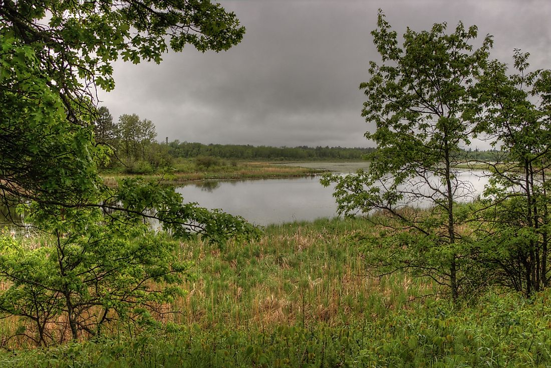 The Itasca Natural Area in northern Minnesota. 