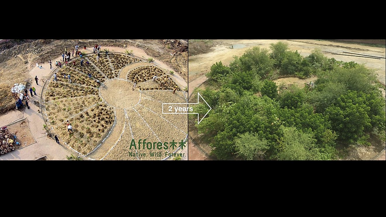 Transformation of Clifton Park, Pakistan (Before and After) by Afforestt. Credit_urbanforest.pk
