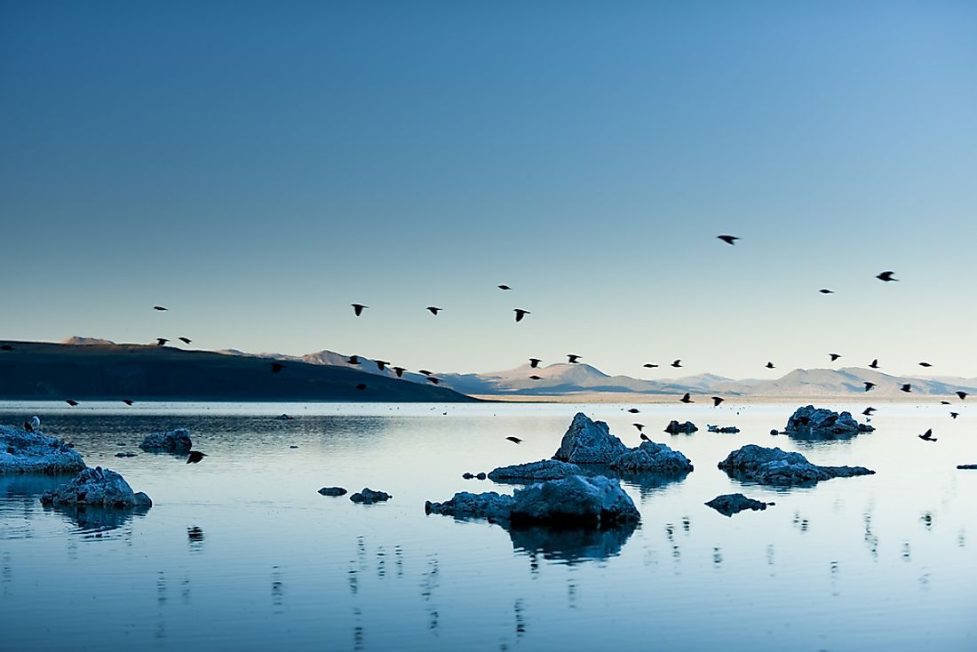 California's Mono Lake is an important nesting spot for migratory birds.