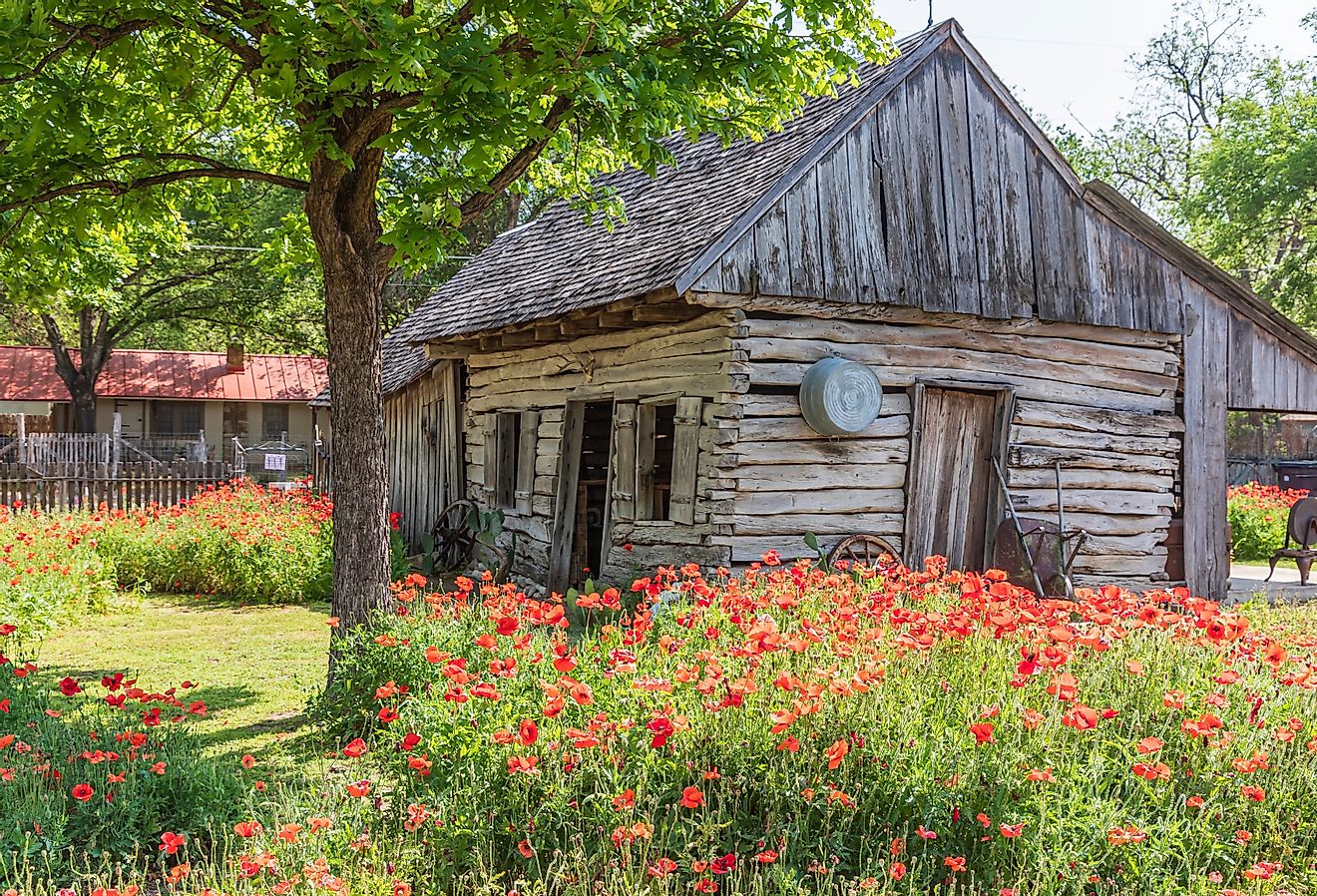 Castroville, Texas, poppies and historic buildings in the Texas Hill Country.
