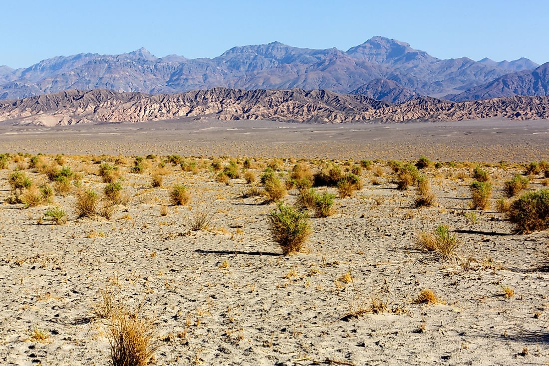 An arid landscape. 
