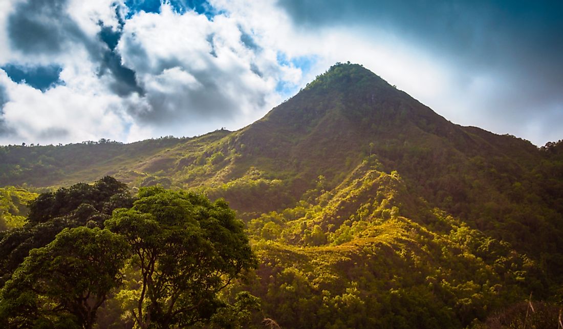 Comoros has large unexploited forests with abundant animals and rare plant species.