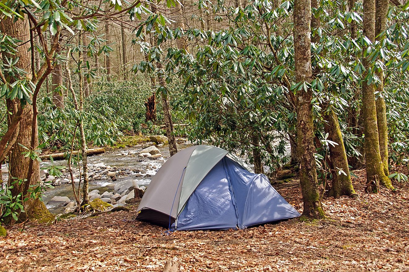 Campsite on Cabin Creek in the Great Smoky Mountains. Image credit: Wildnerdpix/Shutterstock.com