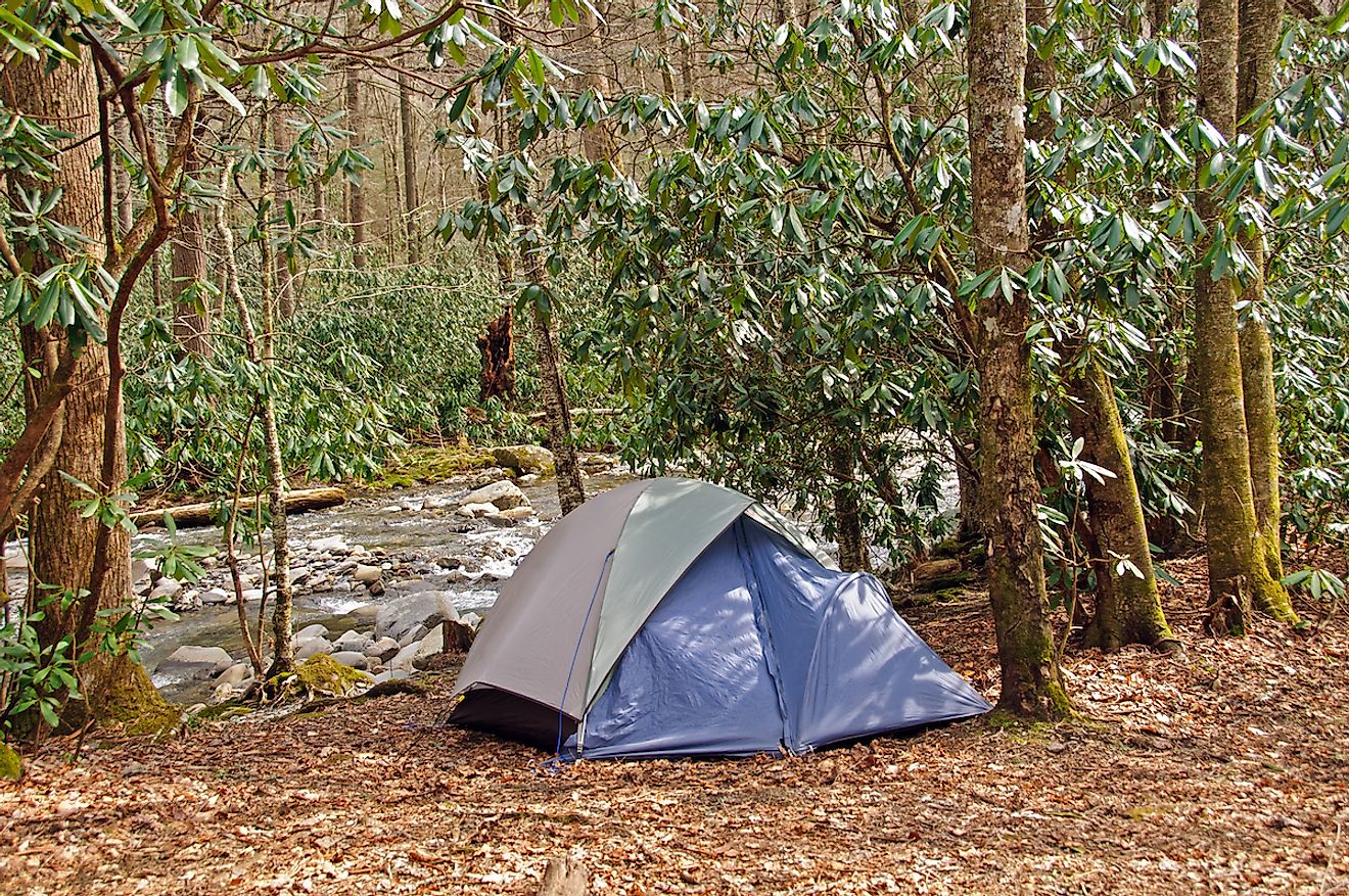 Campsite on Cabin Creek in the Great Smoky Mountains. Image credit: Wildnerdpix/Shutterstock.com