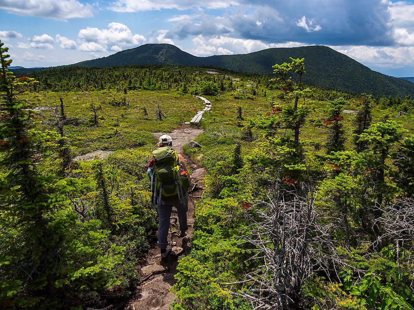 Hiker on Appalachian Trail in Maine.