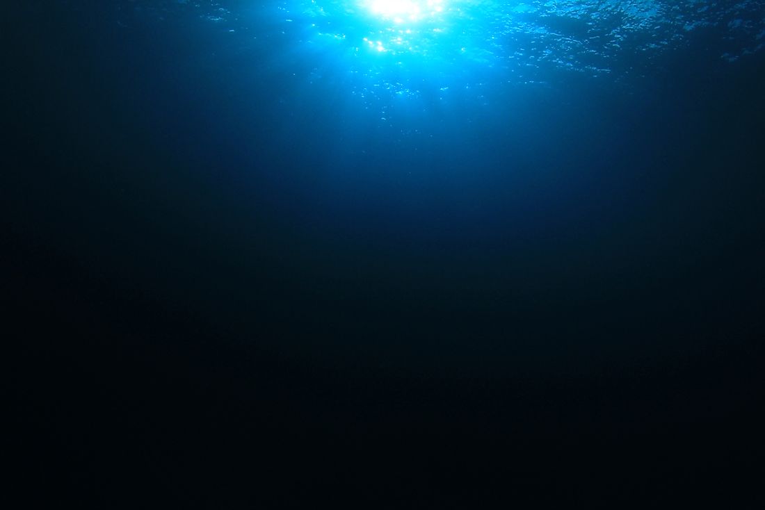 We know very little about the deepest parts of the ocean. 