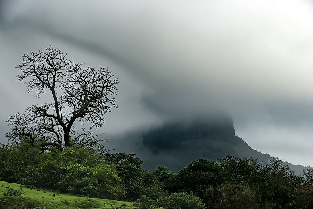 About 75% of the annual rainfall in India comes from summer monsoons.