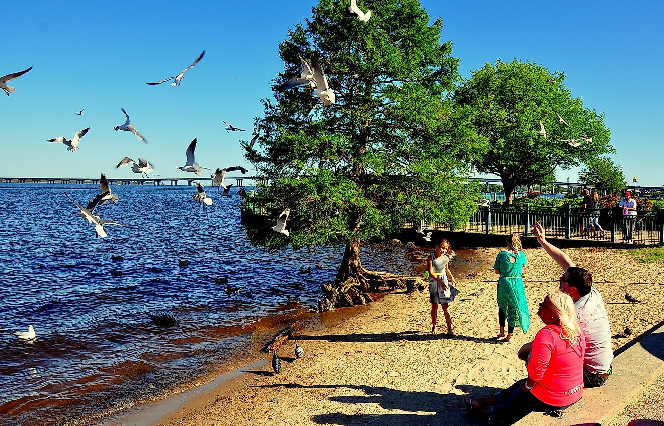 New Bern, North Carolina:  Family feeding a flock of flying seagulls on the banks of the Neuse River, via LEE SNIDER PHOTO IMAGES / Shutterstock.com
