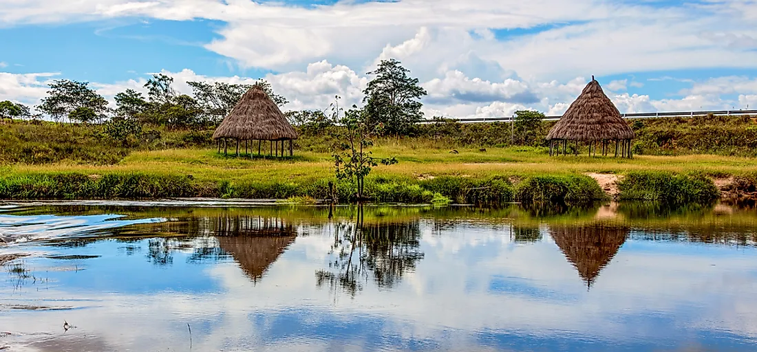 There are a number of plants endemic to the leafy landscapes of Venezuela. 