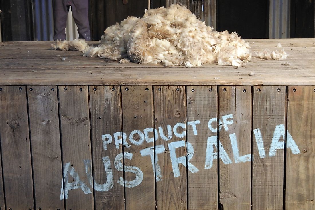Wool and animal hair are some of the biggest agricultural exports of Australia.