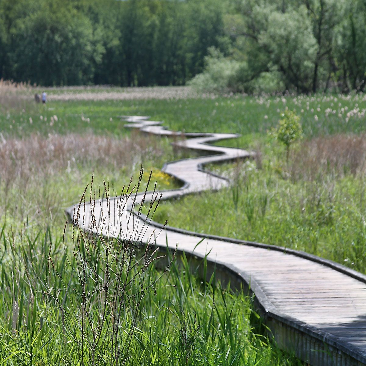 The Stairway to Heaven. Image credit: Troika33