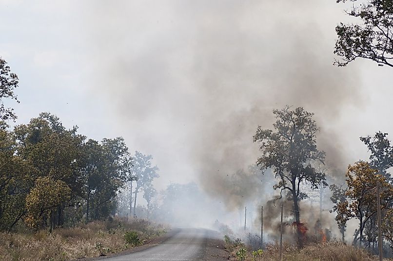 Forests being cleared for farming using the slash-and-burn method in Cambodia.