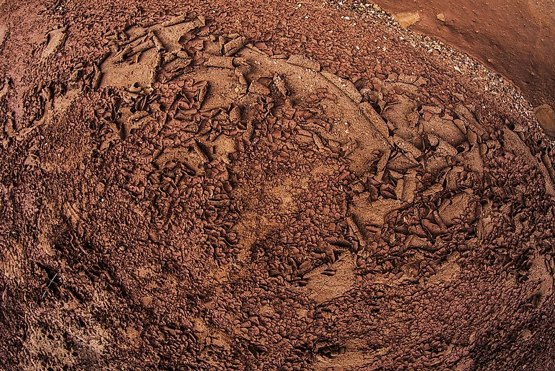 Dried mud alluvium. 