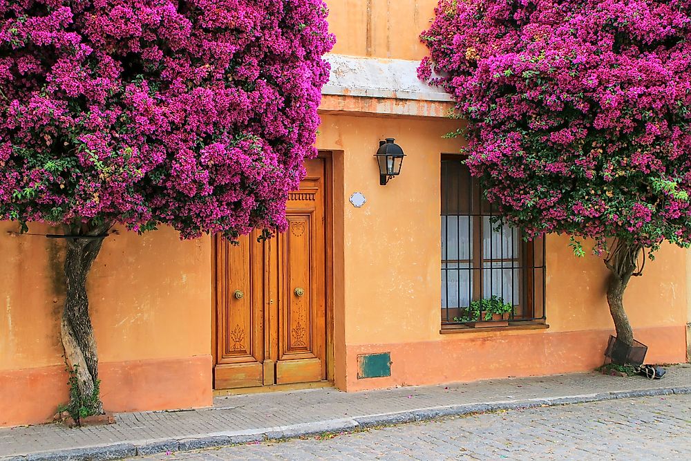 A historic town in Uruguay. 