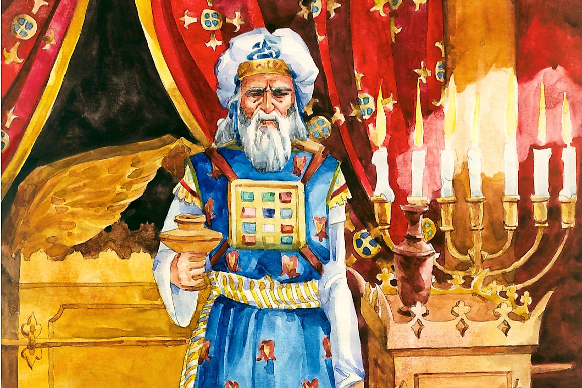 A watercolor illustration of a sarduccee. 