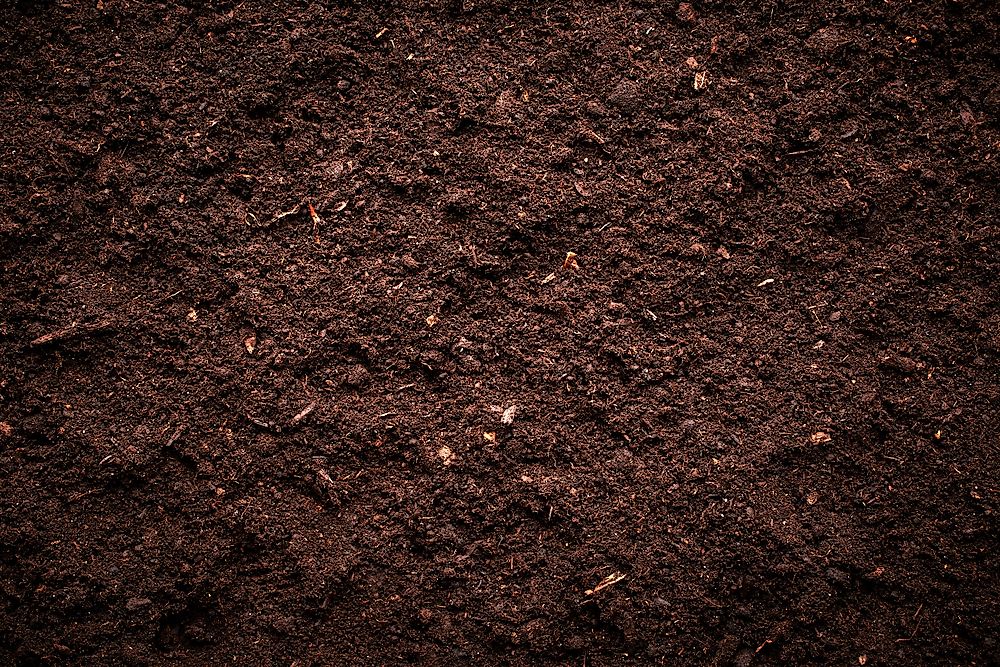 Soil is composed of a mix of different things.