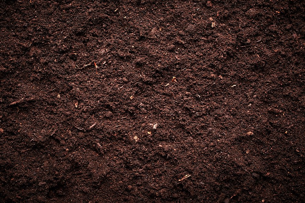 Soil is composed of a mix of different things. 