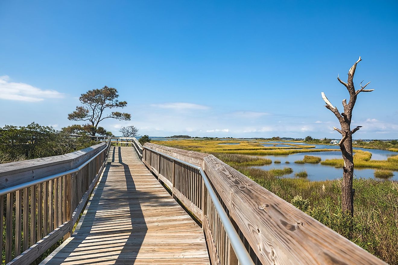 Assateague National seashore, Maryland, Delmarva Peninsula.