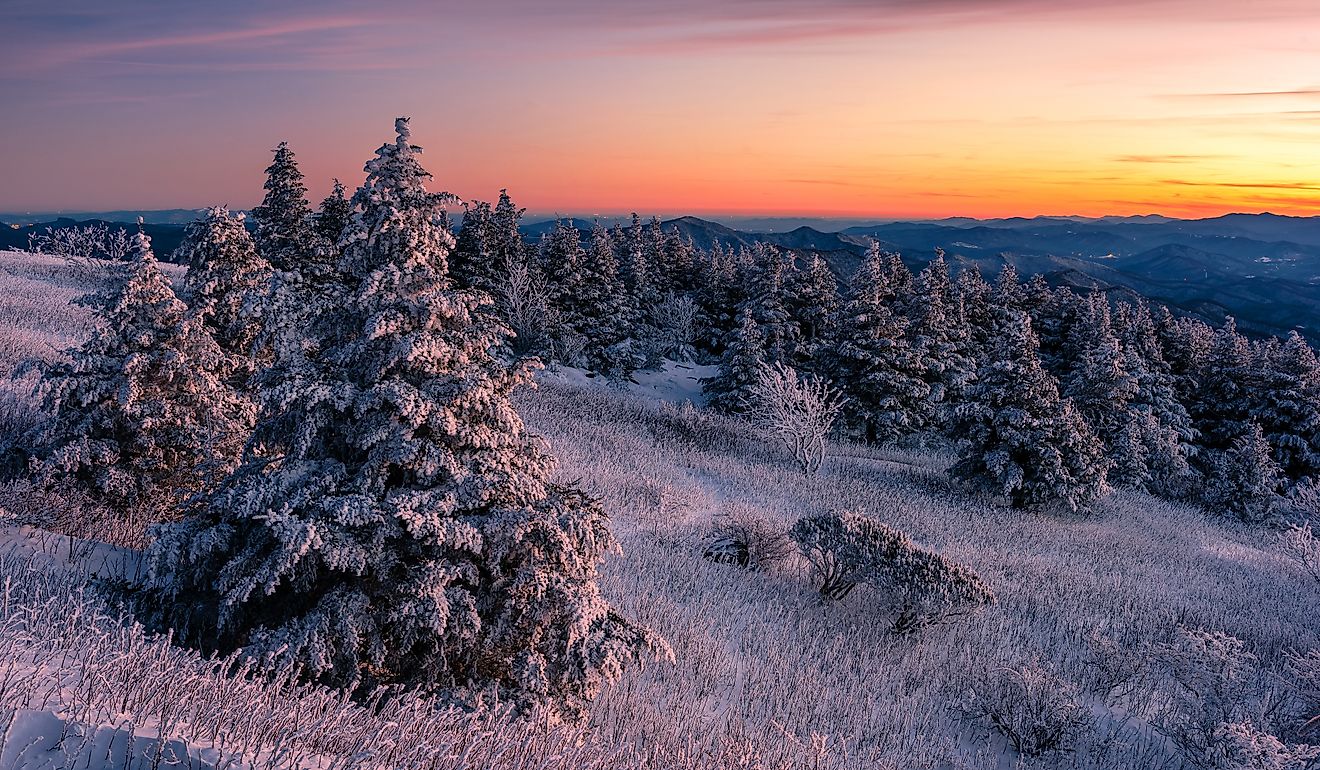 Fresh snow and sunset sky from Roan Mountain State Park in Tennessee