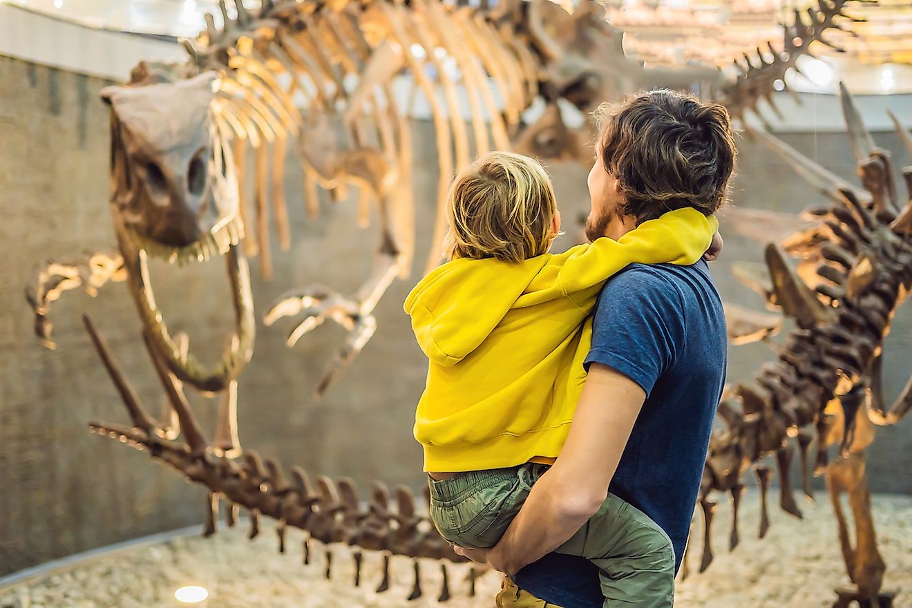 Beijing Museum of Natural History. Image credit: Elizaveta Galitckaia/Shutterstock.com