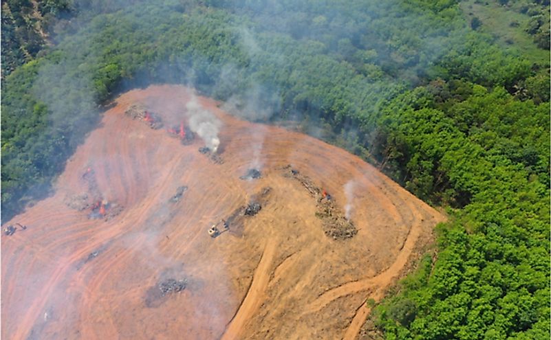 Smoke and fire as a Southeast Asian rainforest is cut and burned for palm oil industry.